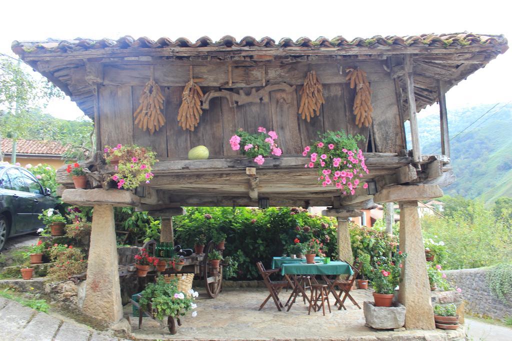 El Colladin Pensionat Llerices Rum bild