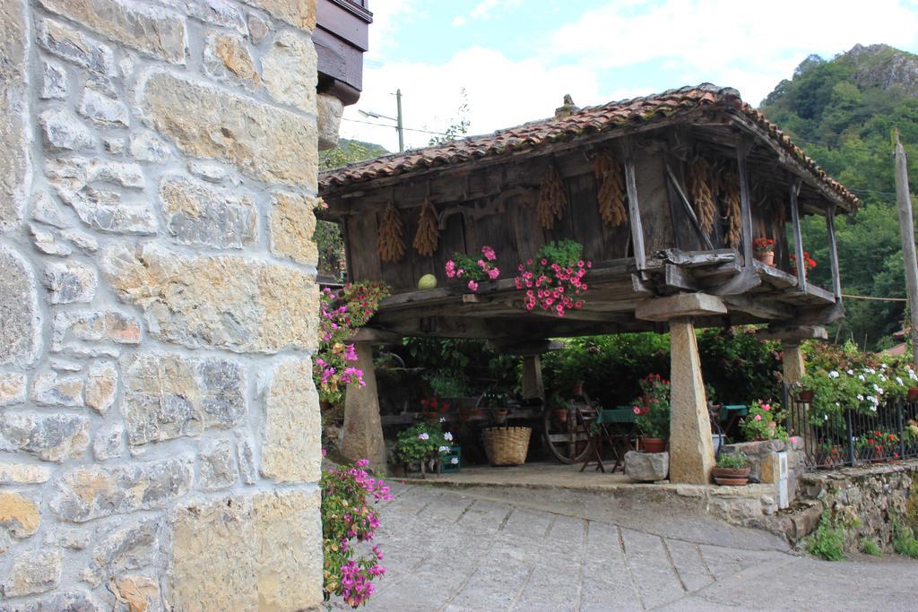 El Colladin Pensionat Llerices Rum bild